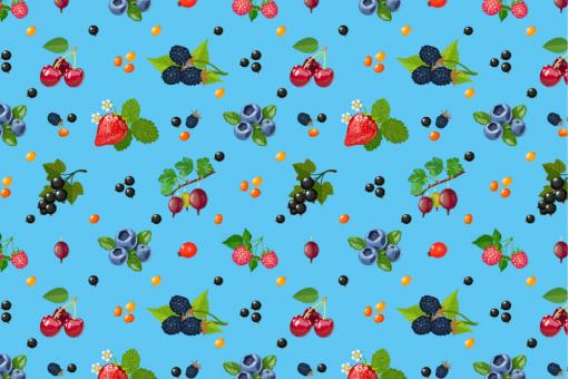 Outdoorstoff - Garten-Beeren Hellblau